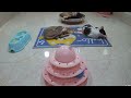 Funniest Animals 2024 😂 Best Funny Cats and Dogs 😻🐶 Part 01 | Cute Baby Animals