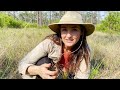 Carnivorous Plants of Apalachicola National Forest