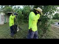 FORGOTTEN House and Sidewalk DISCOVERED Under YEARS of OVERGROWTH