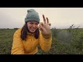 CLOUDBERRY: Arctic Hunt for One of the Rarest Fruit in the World (Alaska to Argentina Vlog #1)
