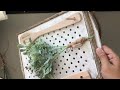 10+ DOLLAR TREE HACKS FOR SMALL SPACES WALL ORGANIZERS FOR TINY HOMES DORMS RV VAN LIFE APARTMENTS