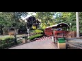 Der Hochbeinige at Busch Gardens The Old Country in Williamsburg VA. Railway steam powered 2024 July