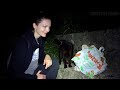 The Hungry Stray Cats Accepted Her as Family - Feeding Stray Cats