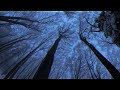 Ethergløw - through the mist (slowed + reverb) [dark ambient music]