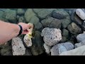 Full Largemouth Bass Catch Measure and Release | Lake at the Hills Cedar City #shorts