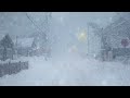 Cold Snow Storm & Blizzard Sounds for Sleeping Iin the City┇Winter Storm Ambience┇Howling Wind