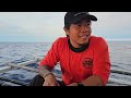 P1-HANDLINE FISHING SA DAYO - EP1402