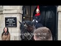 Corporal confronts tourist's Don't touch my horse's again it's not funny. (kings guard shouts twice)