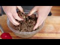 How to Make Beef Jerky with a DEHYDRATOR