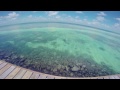 The Best Belize Vacation - Coco Plum Resort - Most Romantic Island