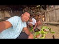 Eating Different types of Naga Food Cuisine | Cooking and Eating Naga Food at the Paddy Fields