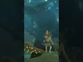 bokoblin seizure...  #shorts #botw #zelda #zeldabotw #breathofthewild