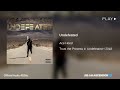 Ace Hood - Undefeated (432Hz)