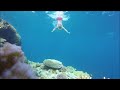 under the sea . . .  Sharm el Sheikh, - Egypt شرم الشيخ