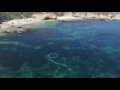 Whale visits beachgoers in Laguna Beach