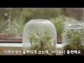 New morning routineㅣHow i spend my morning 🌱ㅣSpring GardeningㅣEasy RecipesㅣMotivational vlog