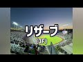 【MLB】ドジャースタジアム　日本のスタジアムマニアがノリと勢いで弾丸訪問した初MLBスタジアムはデカすぎて色々後悔した