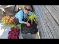 Small Space Makeover | Finally Setting Up the Cut Flower Patio!