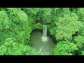 [Healing] Amazing Green Nature Scenery & Relaxing Music for Stress Relief. Water Sounds, Birdsong