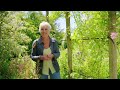 Summer Gardening with Carol Klein🍀Episode 2