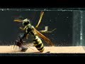 AWESOME MEETING between an ANT and a WASP - YOU WON'T BELIEVE WHAT HAPPENED!