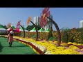 익산 천만송이 국화축제 (Iksan ten thousands Chrysanthemums festival)