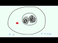 Cell Division - Biology class project [Animation]