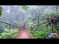 ASMR Costa Rica Rainforest Heavy Rain & Thunder | Relaxing Rain Sounds For Sleep & Meditation | 116