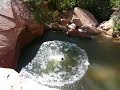 Pinecreek Canyon Zion Pool Jumping FUNNY