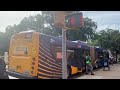 MTA Bus & New York City Bus || Bus Action at Jamaica Avenue & 153rd Street