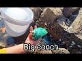 WOW! BEAUTIFUL GEM STONES IN THE BEACH | COLLECTING GEM STONES #gemstones #ocean #nature #fishing