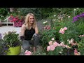 How to Prune Perennials and Roses in Summer: Step by Step | Garden with Marta