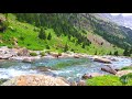 Relaxing Nature Ambience Meditation 🌳Healing Sounds of a Lovely SPRING Sunny Day in a Mountain RIVER