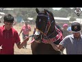 Carreron Muy Cerrado | El Yaqui Vs El Mago, Taste El Coyote Durango Méx.