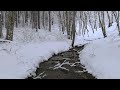 4K HDR Snowy Brook - Relaxing River Sounds - Peaceful Snow & Forest Stream - Flowing Water Sleep Aid