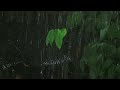 Best Rain Sounds on Tin Roof at Night Very Fast Sleep in Minutes Goodbye Insomnia and Stress