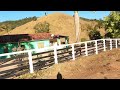 ZONA RURAL DE RIO VERMELHO MG | DIVISA COM COLUNA MG, SENTIDO, MATINADA DE CIMA (ROÇA) MOTOVLOG