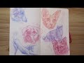 Improve your Drawings ✷ Sketching Cats + Chat