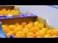 26 Satisfying Videos ►Modern Technological Food Processors Operate At Crazy Speeds Level 93