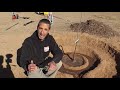 Planting Bare Root Trees | Growing Pecan Trees in AZ