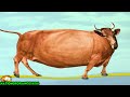 [YTP] THERE'S NO BULL IN THIS YOUTUBE POOP