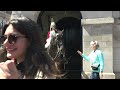 King's Guard Horse Hilariously Snatches Tourist's Hat and Leaves Guard in Stitches!