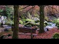River Sound -  Nature Sounds for Sleeping, Relaxing River Sounds & Nature Sounds 2024