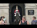 POLICE REPRIMAND GERMAN TOUR GUIDE WHO IGNORED ADVICE on how to behave at Horse Guards!