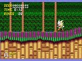Sonic 2 Wood Zone Glitch Level - Hidden Glitch Level!!