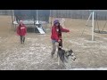 Winter the Husky loves snow!