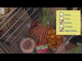 Grocery Store | Virtual Field Trip | KidVision Pre-K