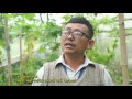 Organic farming in kathmandu