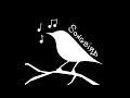Songbird (Demo)