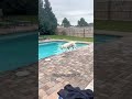 Neighbors know its pool season when they hear me yelling at Buster 😂 tt:bustersworld4 #doggos4prez